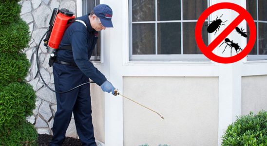 Geyve Bit İlaçlama böcek ilaçlama ve haşere kontrolü — ilaclama-tr.com